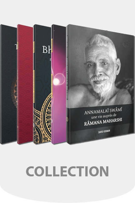 Collection Nataraj